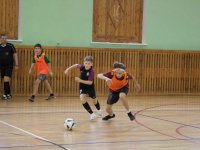 IMG_9101